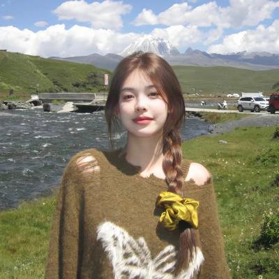 变钢锁